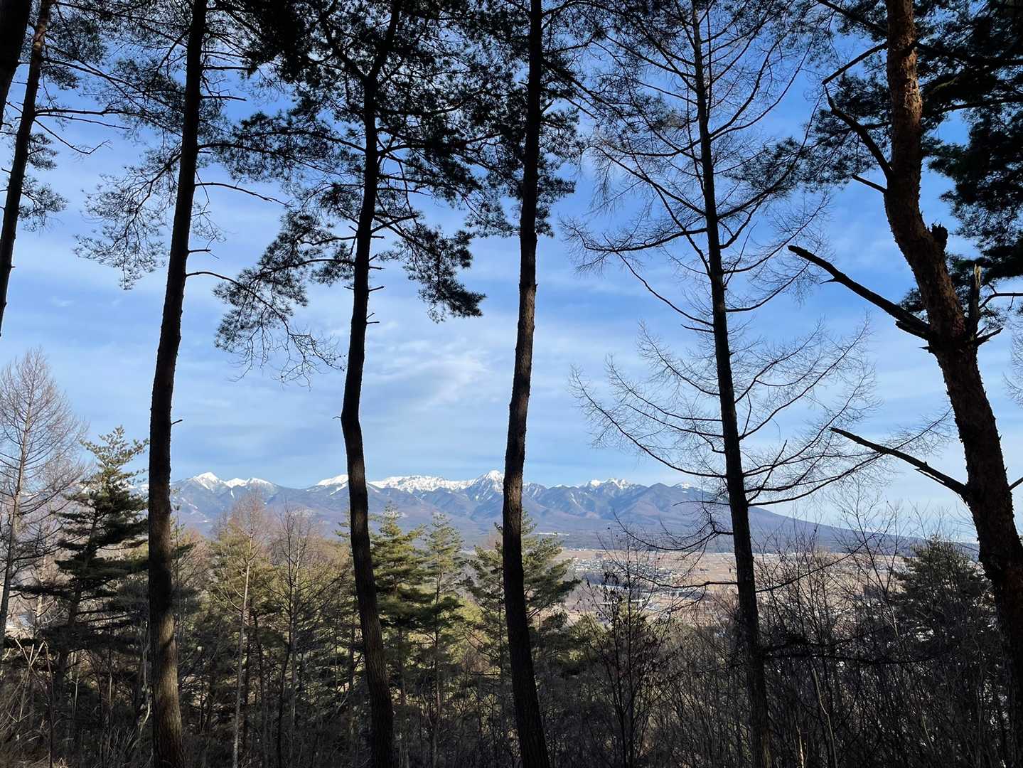 八ヶ岳