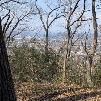 稲荷山山頂からの北側の眺望(標高１８１ｍ)