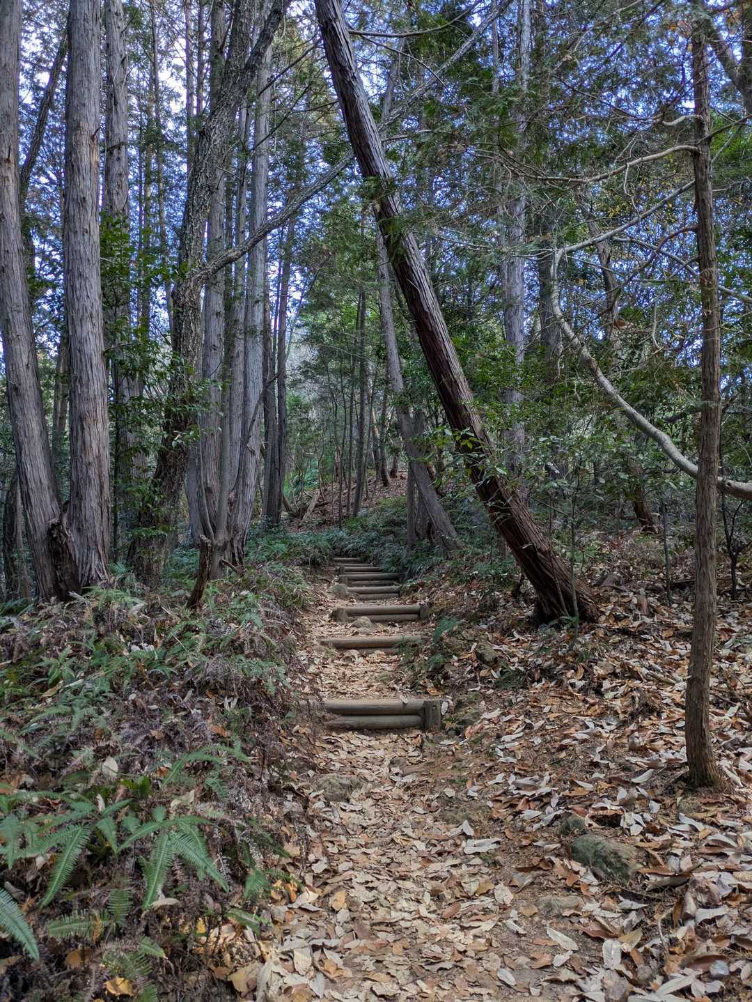 今年も楽しく安全にたくさんの山に登りたいです