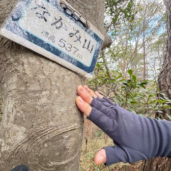なかみ山ピーク⛰️