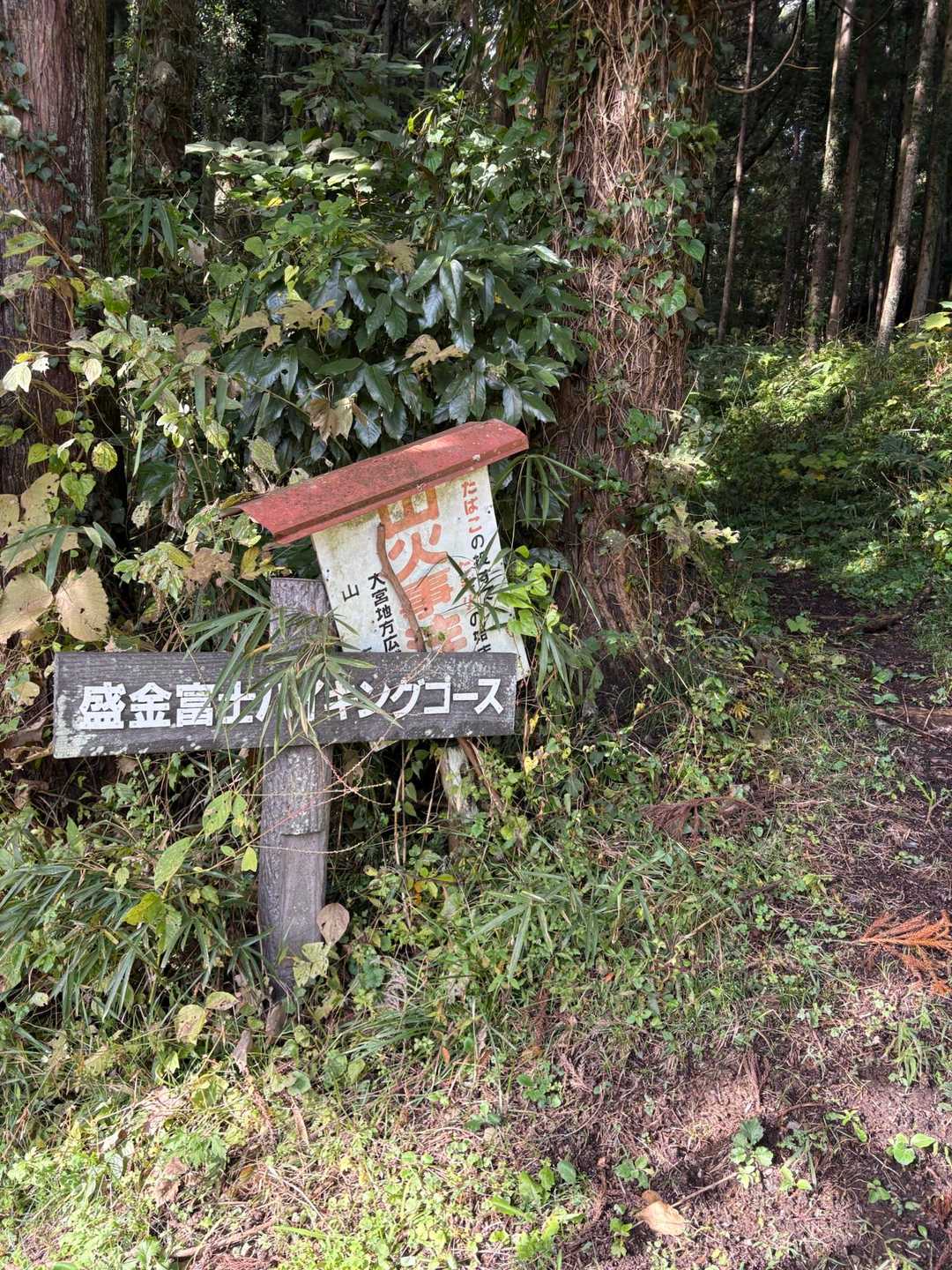 盛金富士周回 | 奥久慈の隠れた郷土富士。山頂から見下ろす久慈川の清流パノラマの写真