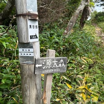 ここを左に行くと…