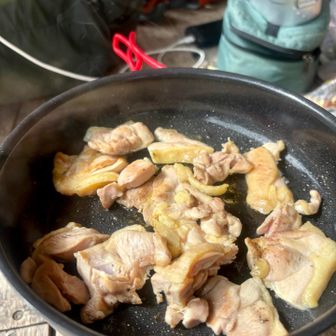 鳥完成