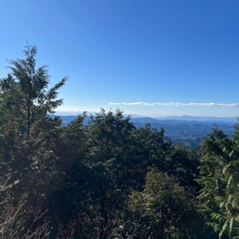 松の木ブランコに向けてGO

南東側がひらけたビューポイントからは
右から伊吹、霊仙、木陰に藤原岳も

ここから激下り、登りを繰り返してブランコへ
Kさんは「ここで待ってる」って言うけど
ブランコからは大好きな御嶽バッチリ見えるはずだよー、いこー

途中まで下りたけど、「やっぱりやめとく、無理強いはいかんよ！」とはっきり言ってくれたので、ひとりでブランコに！