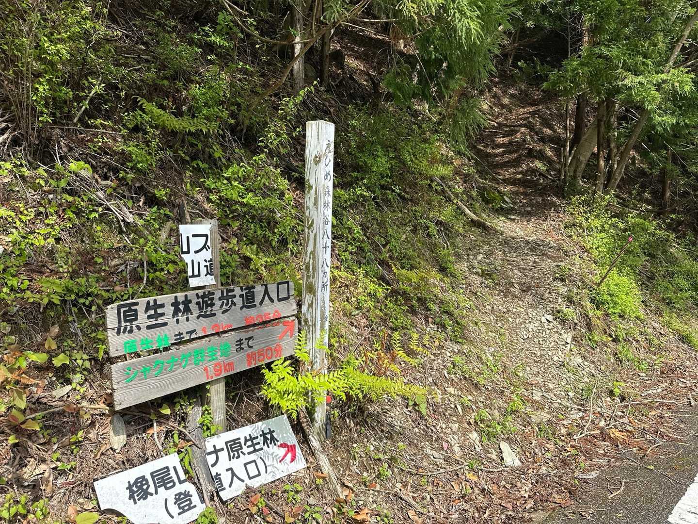 こちらから入山します。