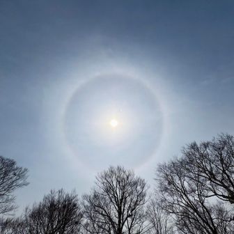 ハロ☀︎
初めてちゃんと見たかも