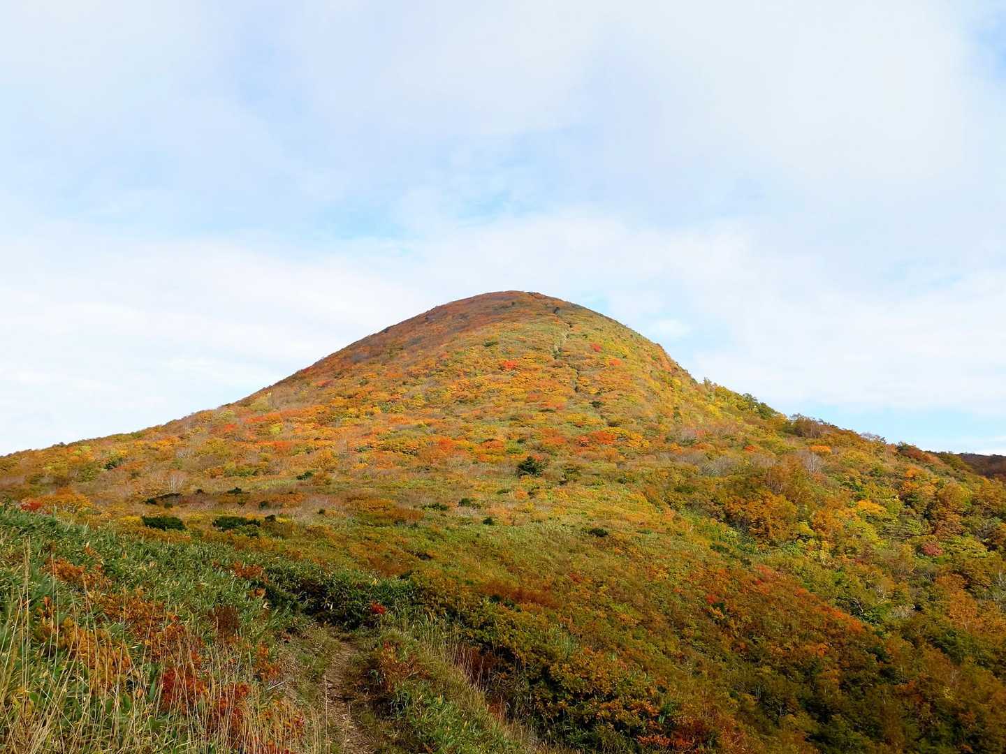 斜面綺麗すぎるって🍁
