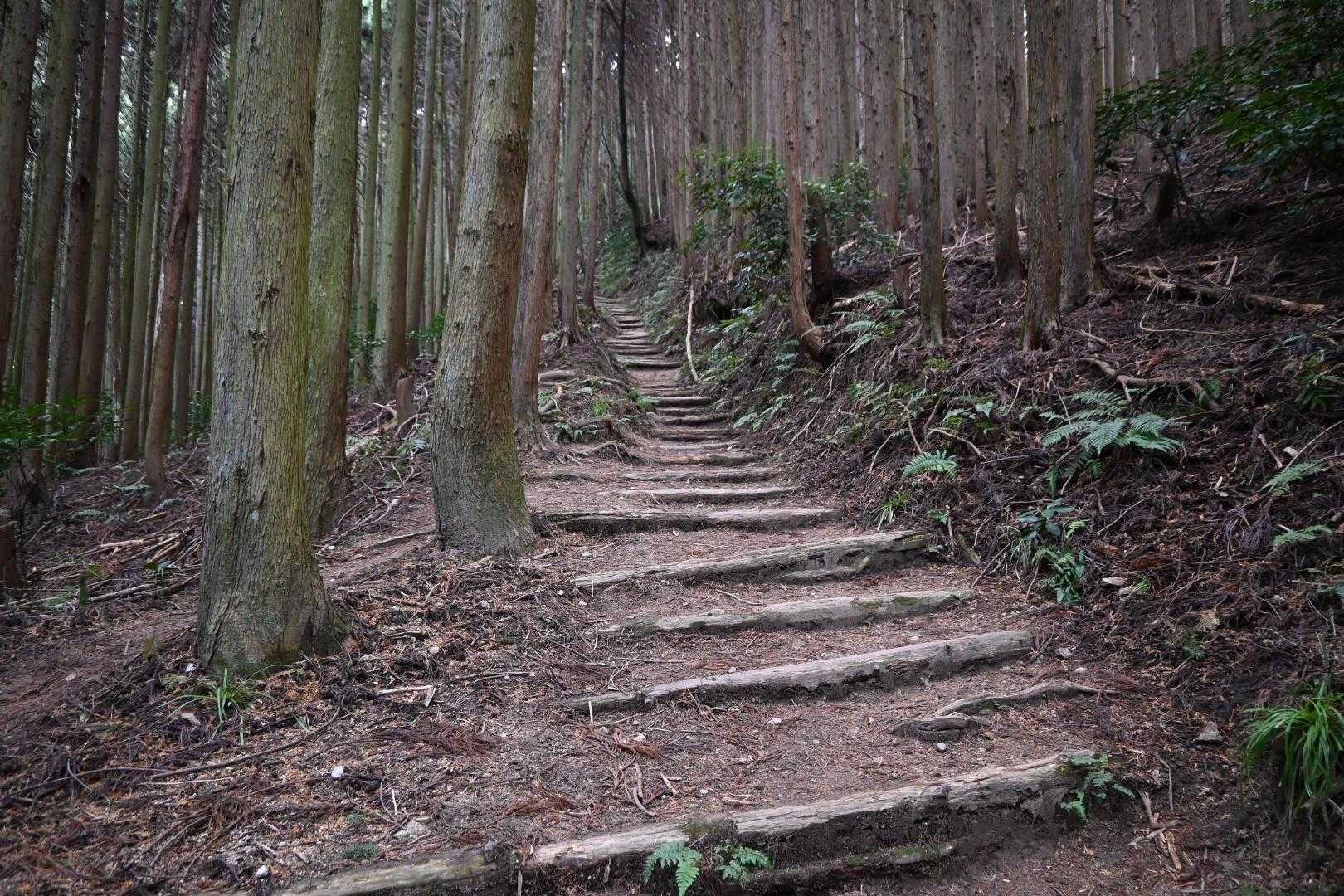 序盤は雪なし