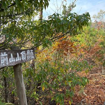 半時計周りが楽かも？
降りで階段多かったのです