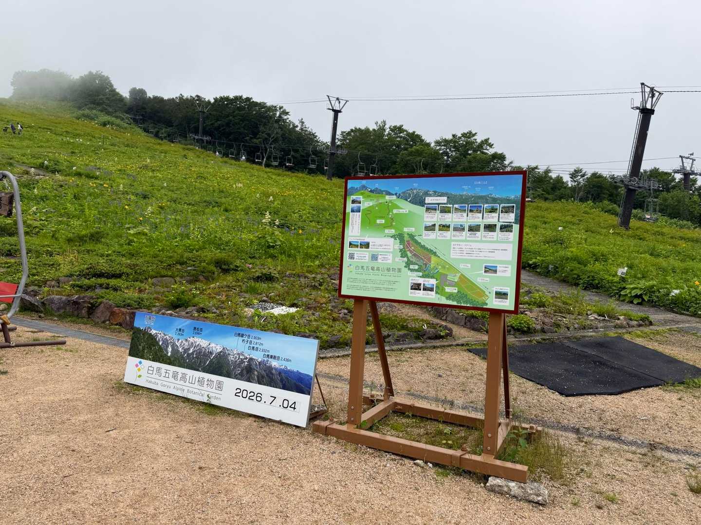 ゴンドラを降りると白馬五竜高山植物園。標高1533m。