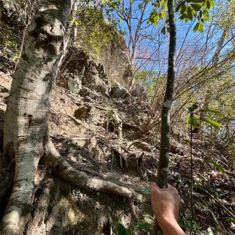 この付近も急登