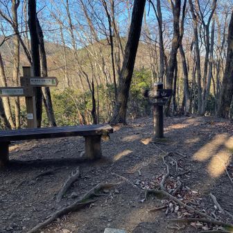 藤棚山山頂。ベンチと三角点があります。