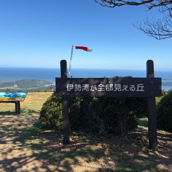 伊勢湾が全部見える丘というだけありました！！🤩