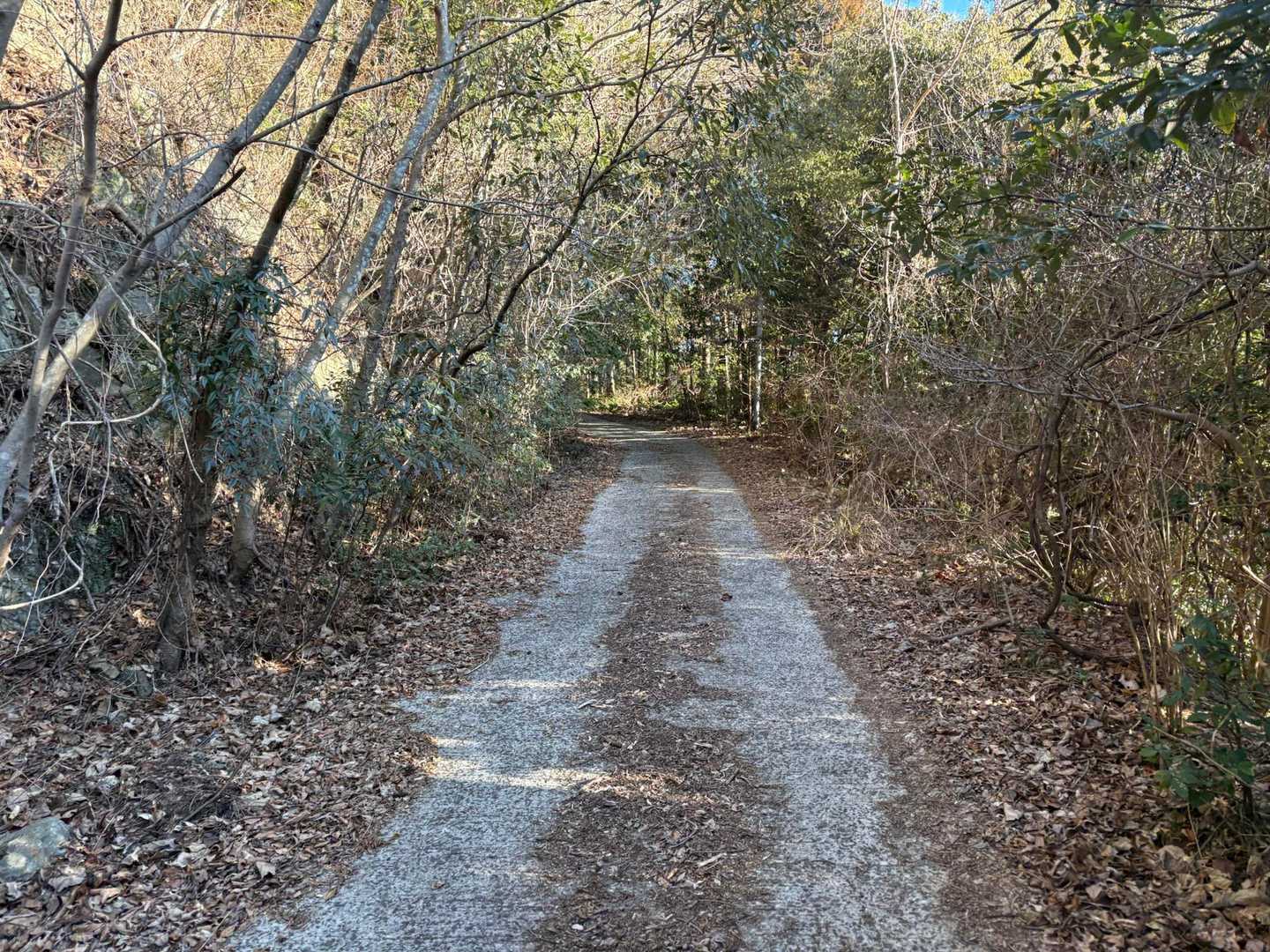 水ヶ城山-羽衣山-三ツ頭-ツルガ山 周回コースの写真
