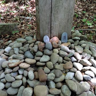 経塚
東屋の辺りでボランティアの方に声をかけていただき、経塚の説明をお聞きしました。
この石には文字が書かれて置かれていたらしいです😯
ちなみに、左奥の石がヒル塚だそうです🙏この方はヒルを探しては取りながら、最後にここにおいているそうです🙏塩が残っています。