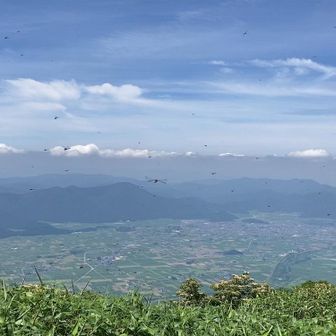 相変わらずの絶景✨

でも拡大してみてください
トンボうじゃうじゃ