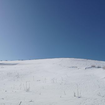 終始雲の上を歩いているみたいで、とても気持ちのよい時間を過ごせました！