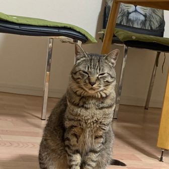 やまとわたしと▲△