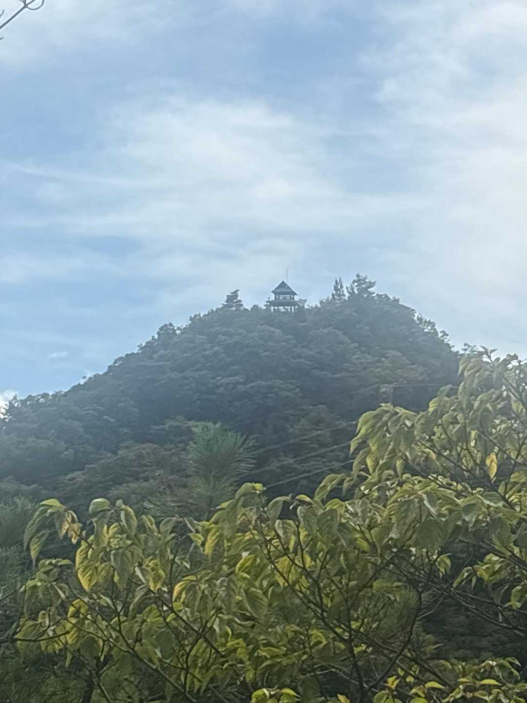 勝山 往復コースの写真