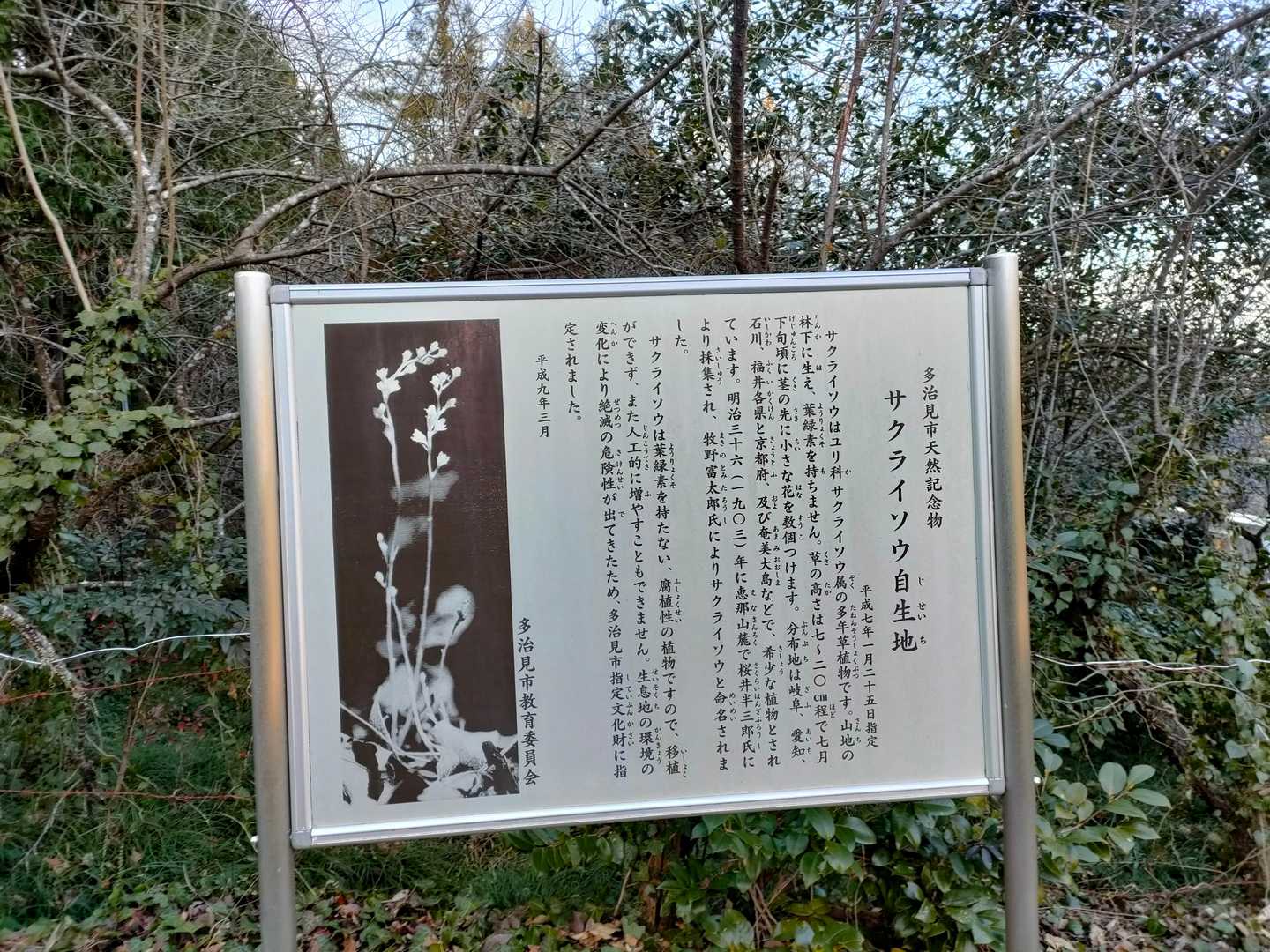 そーいうこと😗
お茶ないんや😩