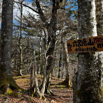 六呂場山　到着
もう、行かないと思ったけど
過ぎてみるとまた行ってもいい気に
なるから怖いよね😅