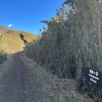 今度ここに行く