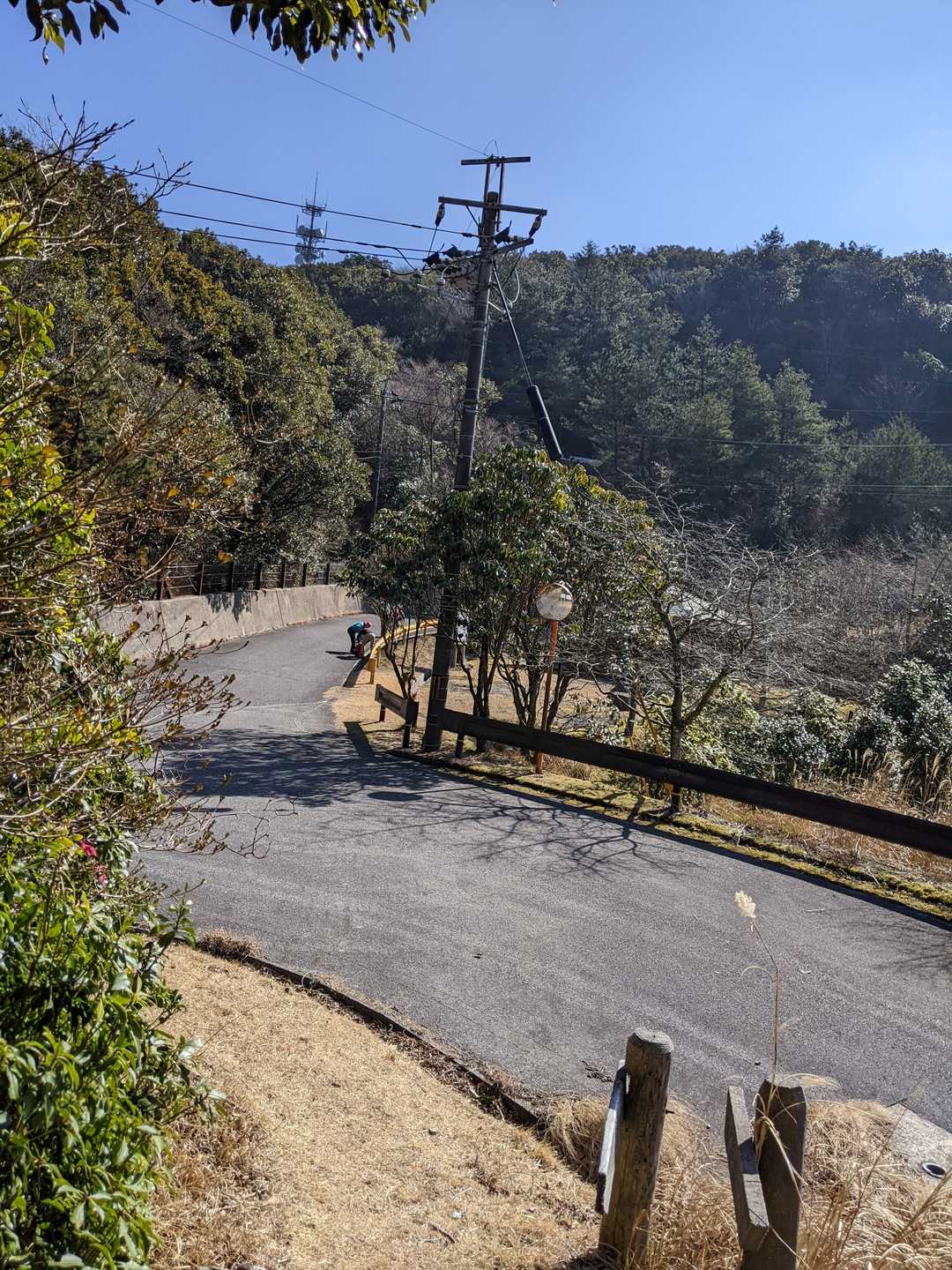 舗装路に出た…左側の林の中の急な斜面を上る…鉄塔のとこが頂上のはず