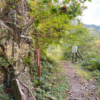 大鳥池からは登山靴なのにほぼトレランモード💨
この区間は250%でした🤣
そのお陰でザック荷重がかかる肩と腰が痛い

でも10時には間に合わず🥲
完売まで間に合うかな〜
急いで着替えて
林道爆走🚗💨
温泉は後回し
