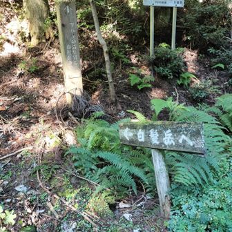 2つ目の東屋のところは道なりに直進が白髪岳で橋を渡った右が松尾山でした。
この西向きの白髪岳への道標はYAMAPにないルートですがヤマレコには踏跡ありました。破線ルートで右回りのルートに合流するようです。