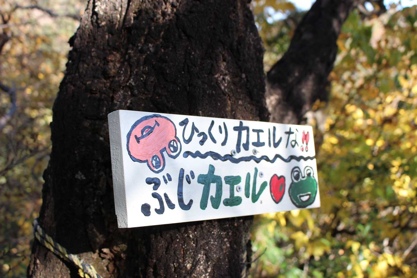 金山 往復コースの写真