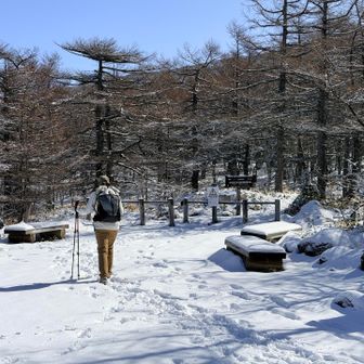雪の中をスタスタSawaさん歩きます😊