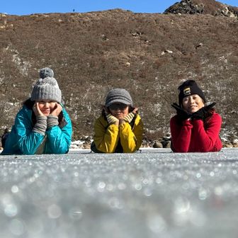 今年は信号機🚥