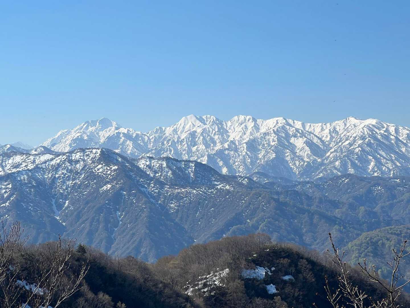 ずっと見ていても飽きない