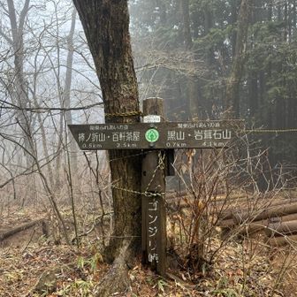 ピーク取ったら岩茸石山に向かう予定