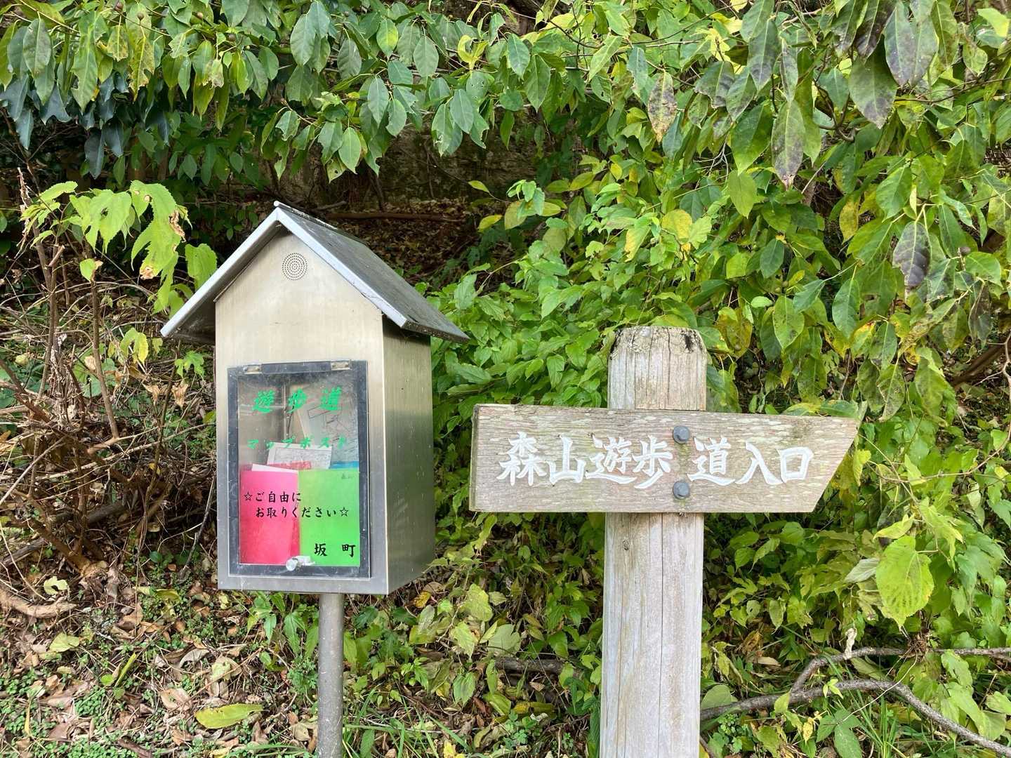 ってことで
本日はゆっくりスタート
ここから入山ニャー🐈