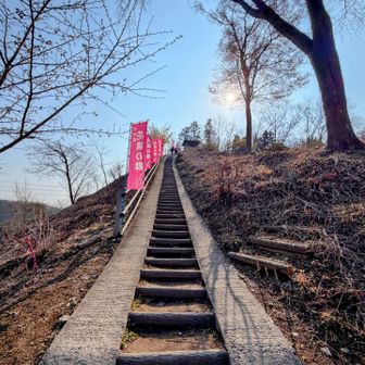 駐車場を降りてすぐの
階段を登った先が大内山 山頂です