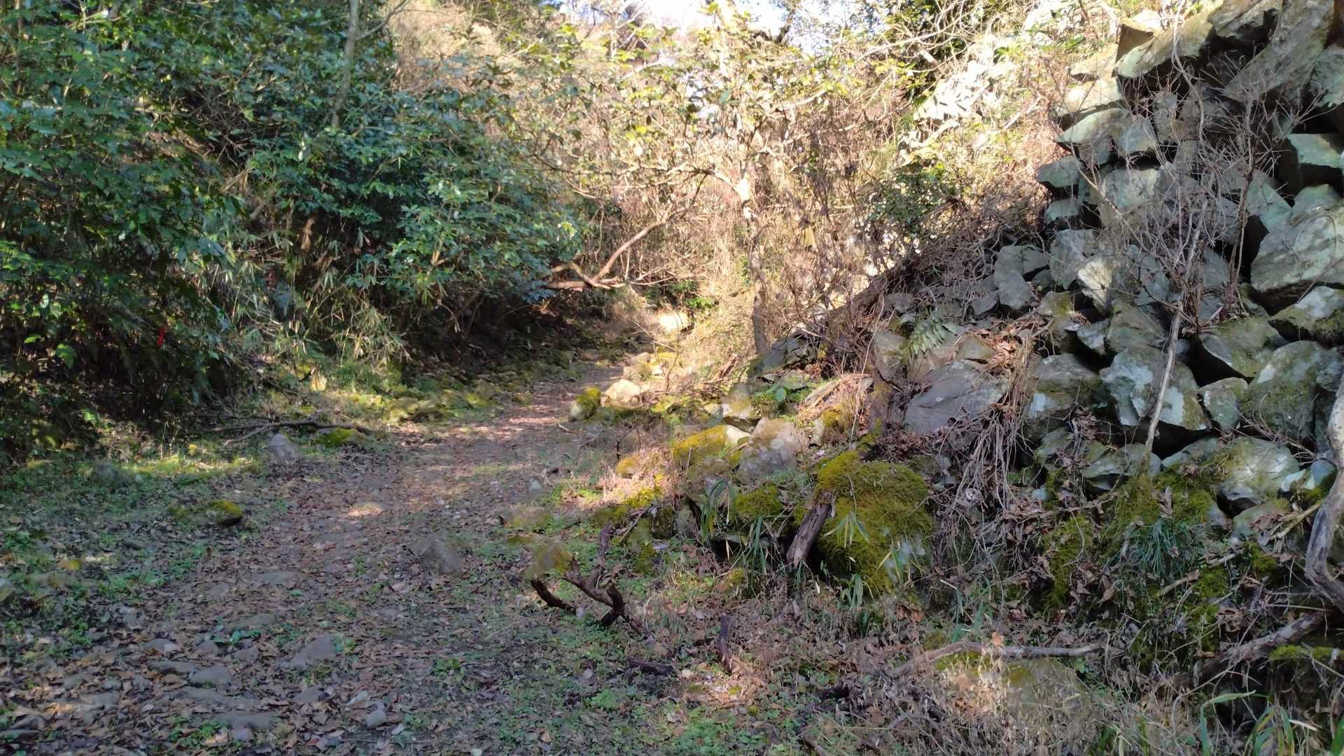 整備された登山道