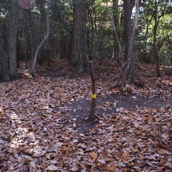 銀峰、コース合流