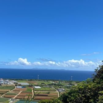 山頂からの眺め