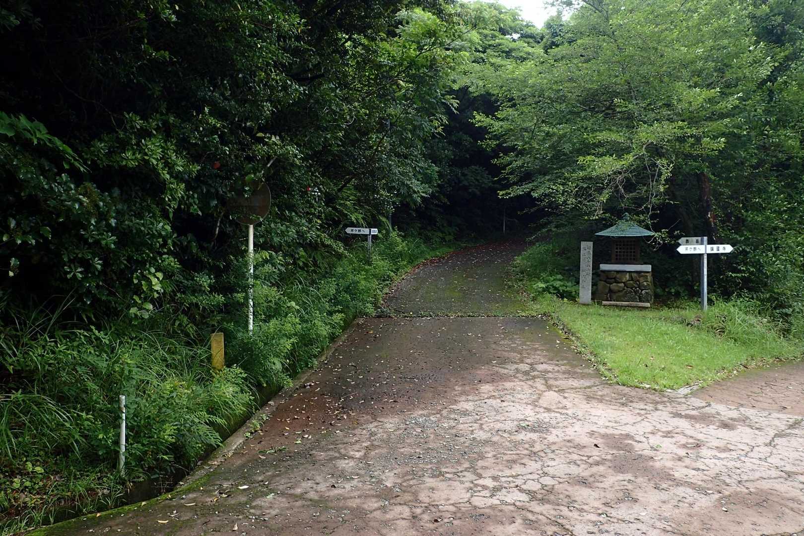 こっちだよー😊