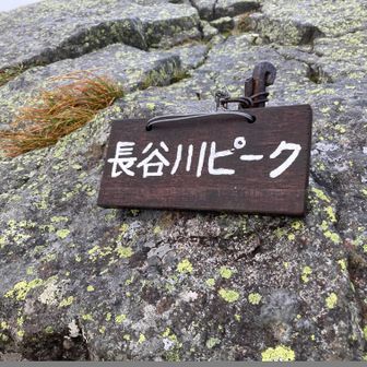 ここまできたら少し安心？少しホッとしました～(^_-)-☆