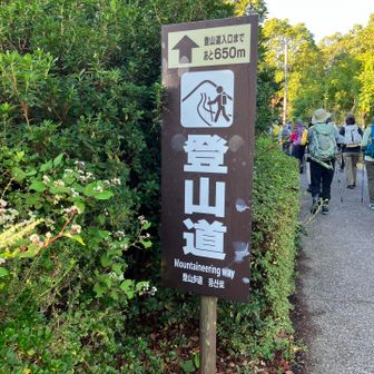 かいもん山麓ふれあい公園からスタート
とても広い公園で色んなレジャーが楽しめそう！
駐車場もたっぷり🅿️