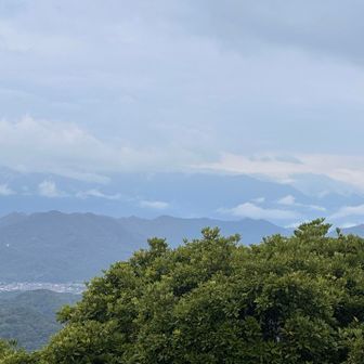 あの奥の！あっちかなぁ