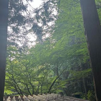そんなわけで下山🕺
イイグリーン💚