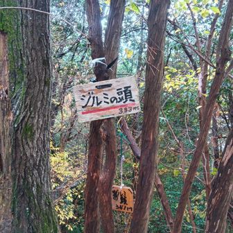 ジルミの頭 到着☝️