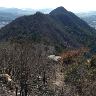 亀山方面　左側は山火事被害で草木が😂😆
