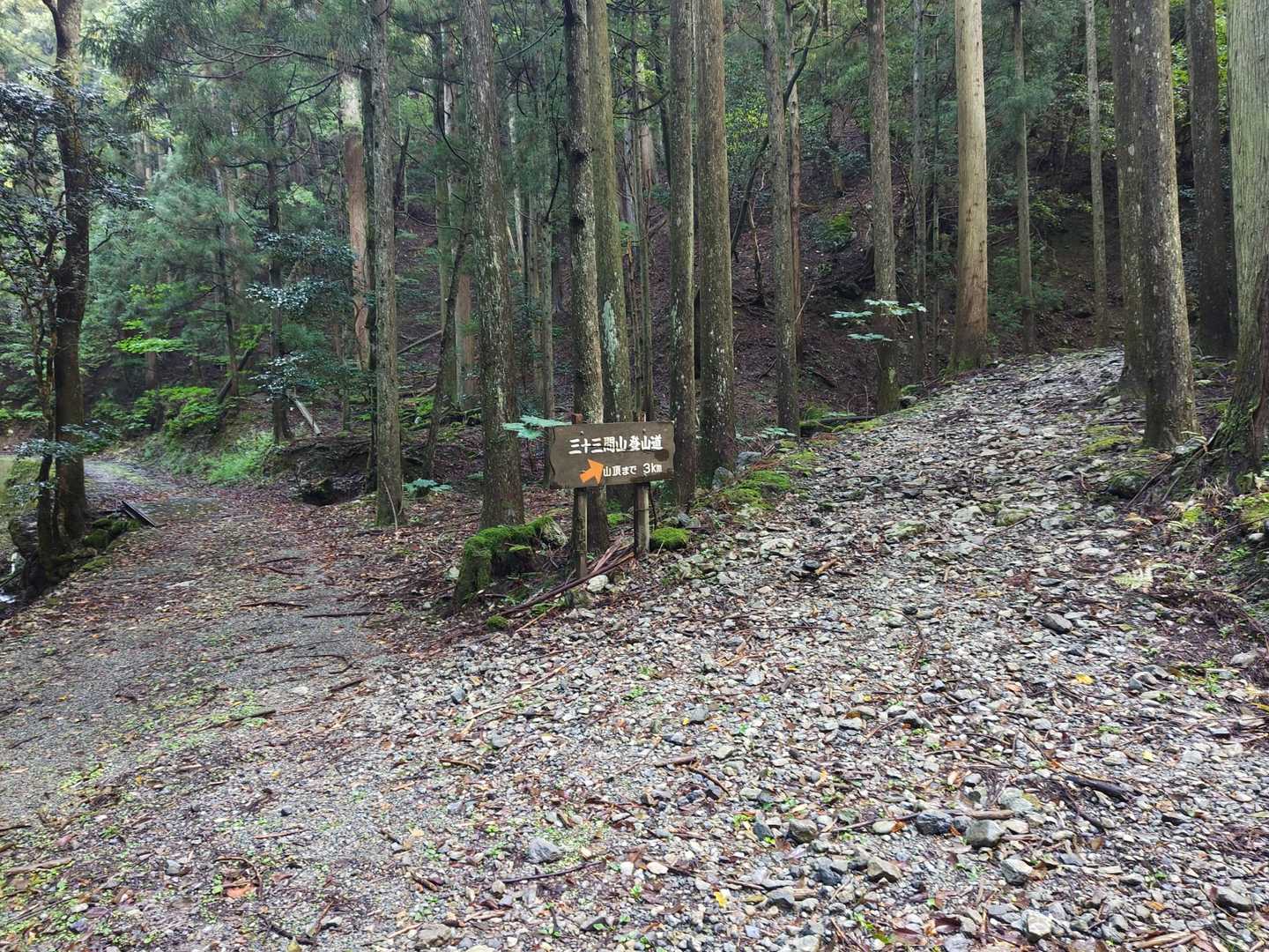 ここから登山道みたい