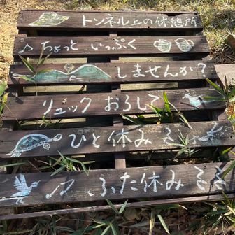 お花畑ポイント