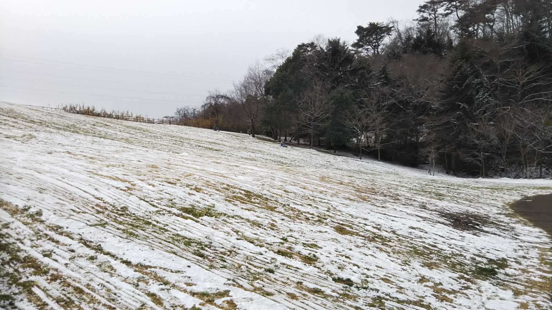 ゴール🏁
奥でそりしてるちびっこが😊
下が草だから、こんだけ雪少なくてもけっこうなスピードで楽しんでました😊✋
八乙女まで走って帰りま～す🏃💨

このあと道路走ってたら、女性先輩の方が車停め、「さっき水の森でお見かけし、ずっと走られてますけど、お急ぎでしたら、乗られますか？」と💧💧💧
ジョギングしてるんじゃなく、おっさんが、何か急用で慌ててると思われた走りフォーム😓💧💧💧
はずかしい…😳💦