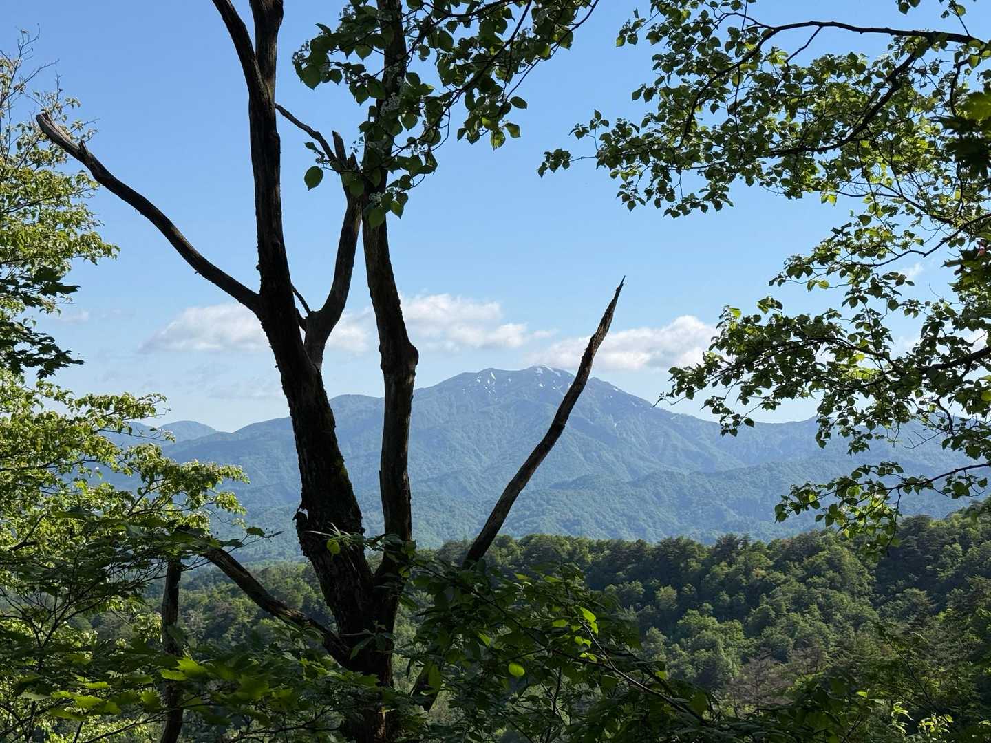 粟ヶ岳が見える👀